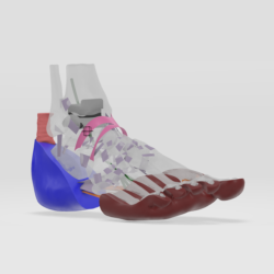 digital_orthopaedics_ankle_foot