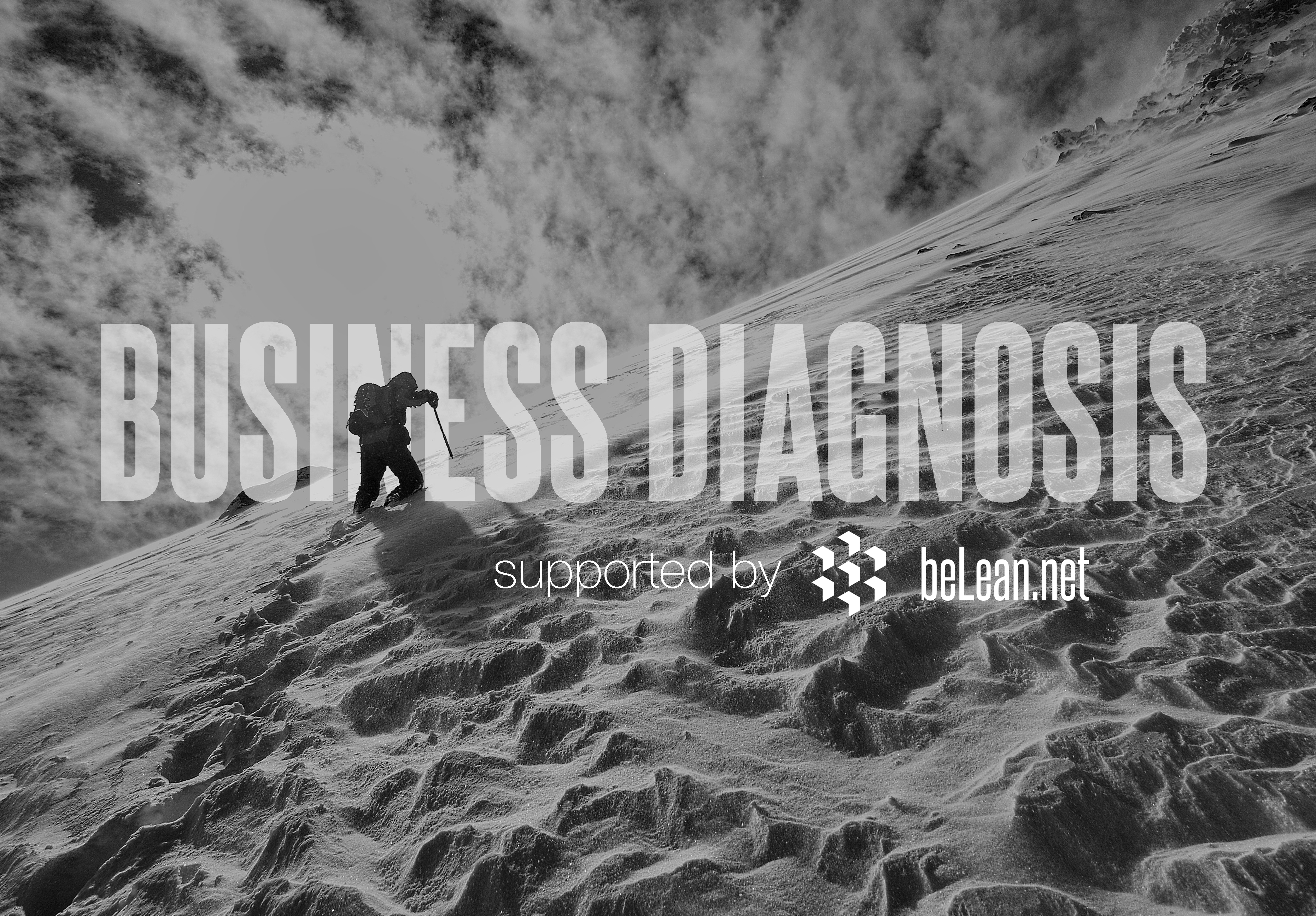beLean.net - Business Diagnosis