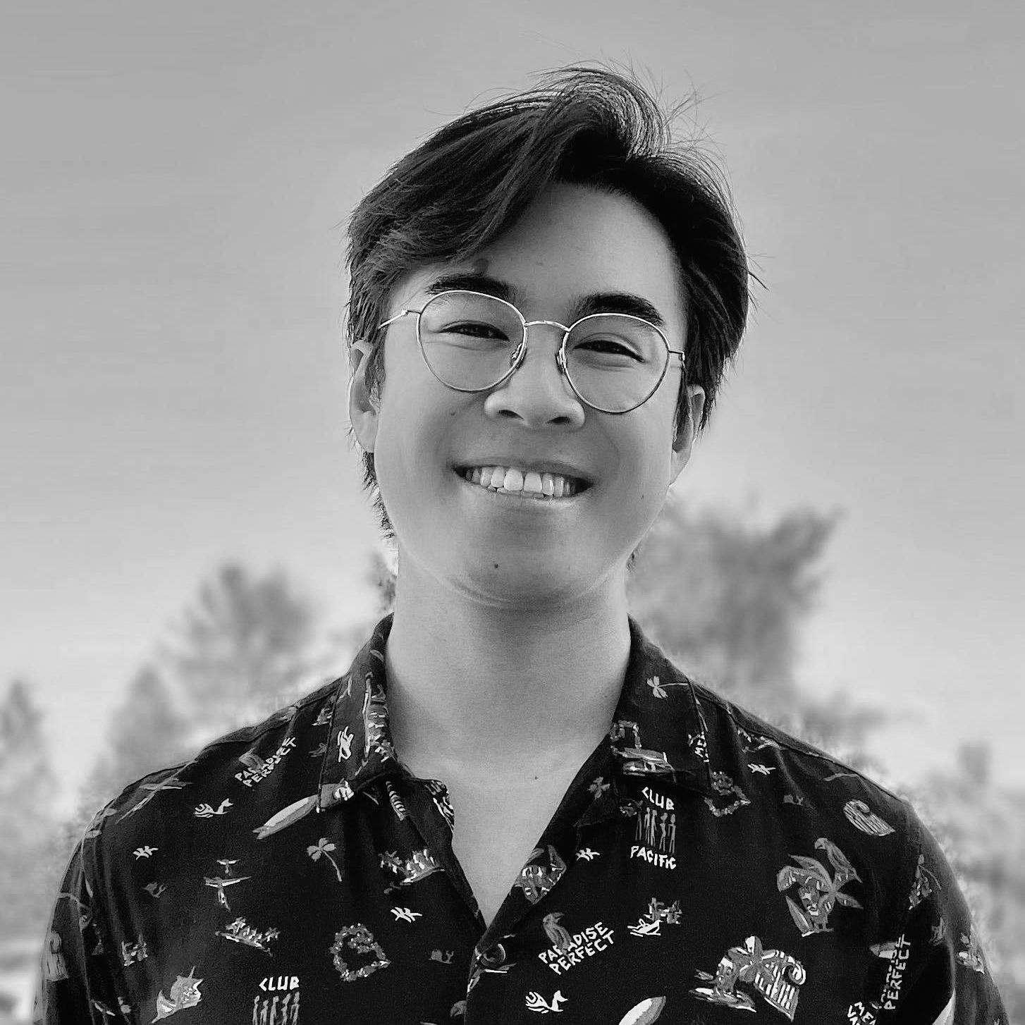 ANH-MINH VO LE